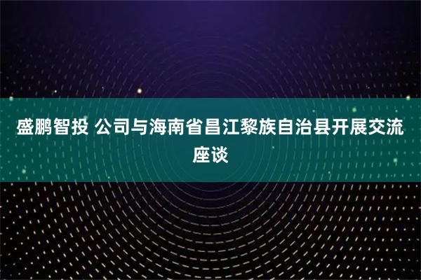 盛鹏智投 公司与海南省昌江黎族自治县开展交流座谈